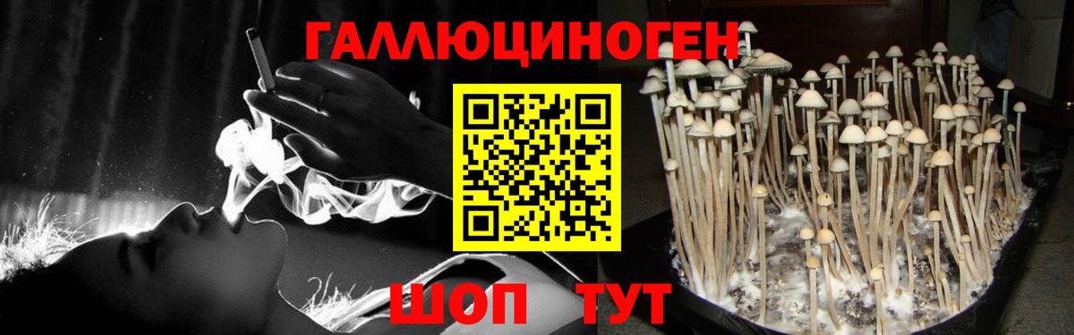 Ливны  Галлюциногенные грибы мухоморы  Вход с VPN 