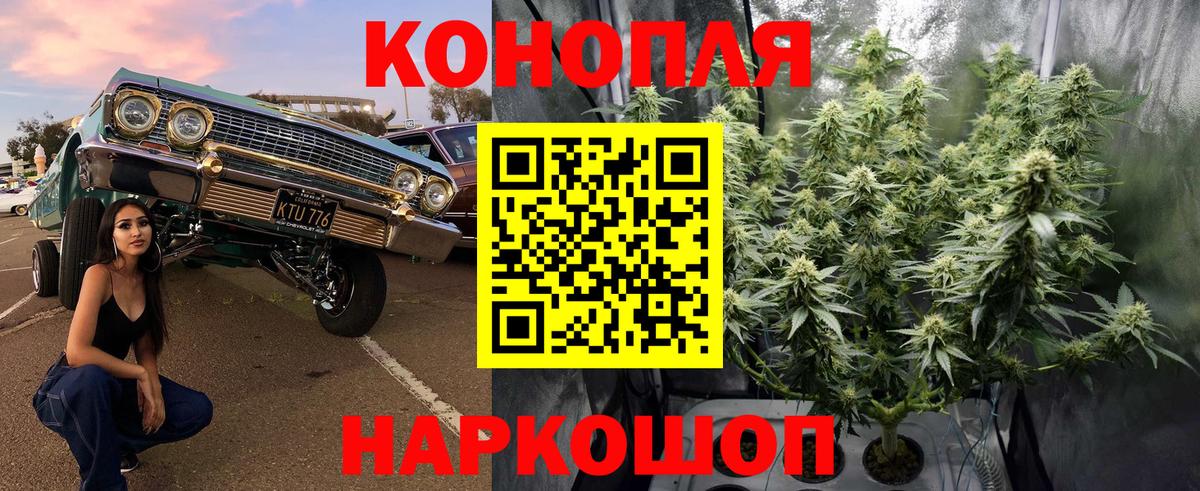 Марихуана конопля Ливны